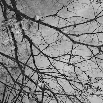 巴菲特超级收益率靠的是持续价值投资