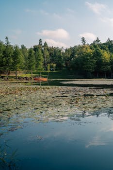 就一招屡试不爽 椰树“擦边”营销用了近20年_0302164020
