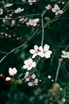 [视频]李强主持召开国务院常务会议