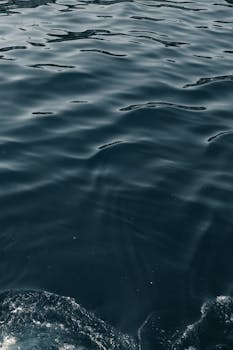 行业动态：波兰经济复苏吸引劳动力回流