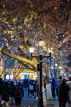  北京即将迎来一场显著的降雪过程，这是否标志着冬季雪季的终结？ 文化旅游