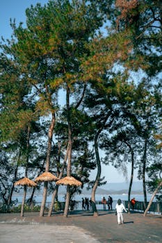 湖北省、河南省等多地相继推出汽车以旧换新补贴细则，政策进入全面落地阶段；中央指导下地方优化执行机制，助力消费升级与产业绿色转型。 汽车科技