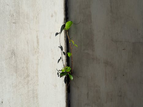  金融机构争相入驻南沙；政策红利驱动粤港澳金融融合新格局。 股票财经 金融机构争相入驻南沙；政策红利驱动粤港澳金融融合新格局。 股票财经 金融机构争相入驻南沙；政策红利驱动粤港澳金融融合新格局。 股票财经 金融机构争相入驻南沙；政策红利驱动粤港澳金融融合新格局。 股票财经 金融机构争相入驻南沙；政策红利驱动粤港澳金融融合新格局。 股票财经