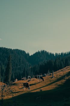  温暖复信传深情，青春力量筑桥梁；中法中欧友谊新篇开启。 文化旅游