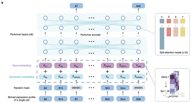  面对医疗瓶颈的焦虑：以AI算法重构细胞解读逻辑 IT技术 面对医疗瓶颈的焦虑：以AI算法重构细胞解读逻辑 IT技术 面对医疗瓶颈的焦虑：以AI算法重构细胞解读逻辑 IT技术 面对医疗瓶颈的焦虑：以AI算法重构细胞解读逻辑 IT技术 面对医疗瓶颈的焦虑：以AI算法重构细胞解读逻辑 IT技术 面对医疗瓶颈的焦虑：以AI算法重构细胞解读逻辑 IT技术
