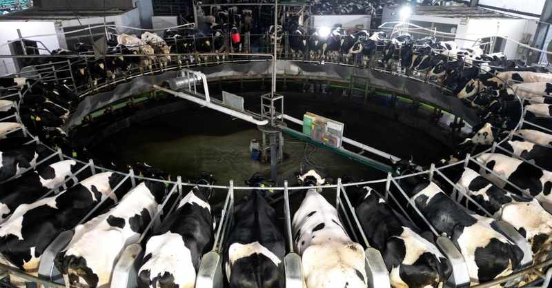  供需失衡下的中国乳业：产能狂欢后的结构性困局与破局路径 股票财经 供需失衡下的中国乳业：产能狂欢后的结构性困局与破局路径 股票财经