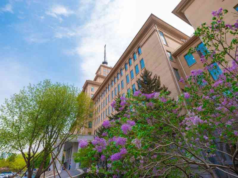  强基计划选拔机制技术解码：哈工大2026年核心招生逻辑全梳理 教育招生