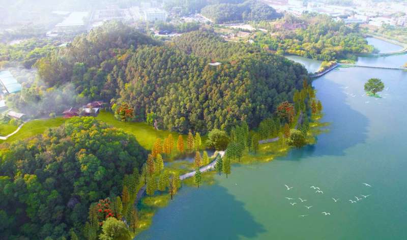  技术解码：花都“新三板”如何用室内科技重塑南方冰雪经济版图 新闻