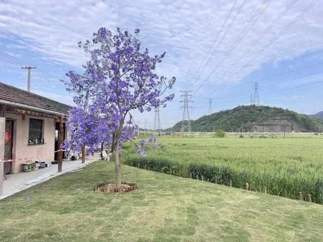  技术拆解：90后夫妻如何用「以旧修旧」唤醒荒废老屋？一套可复用的乡村改造方法论 文化旅游 技术拆解：90后夫妻如何用「以旧修旧」唤醒荒废老屋？一套可复用的乡村改造方法论 文化旅游