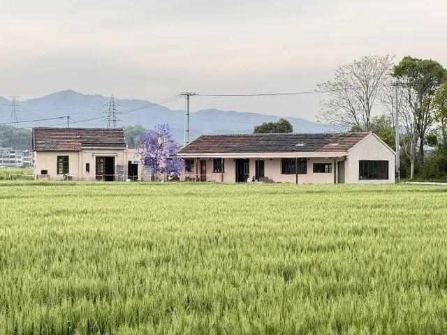  技术拆解：90后夫妻如何用「以旧修旧」唤醒荒废老屋？一套可复用的乡村改造方法论 文化旅游 技术拆解：90后夫妻如何用「以旧修旧」唤醒荒废老屋？一套可复用的乡村改造方法论 文化旅游