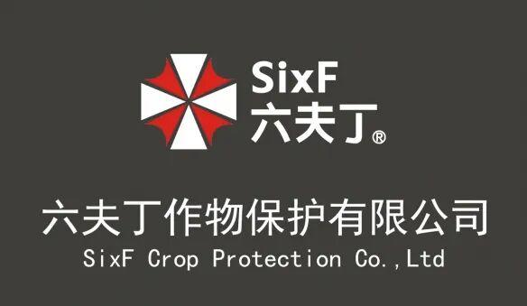  从农药LOGO到游戏符号：企业形象设计的品牌冲突与技术复盘 企业服务