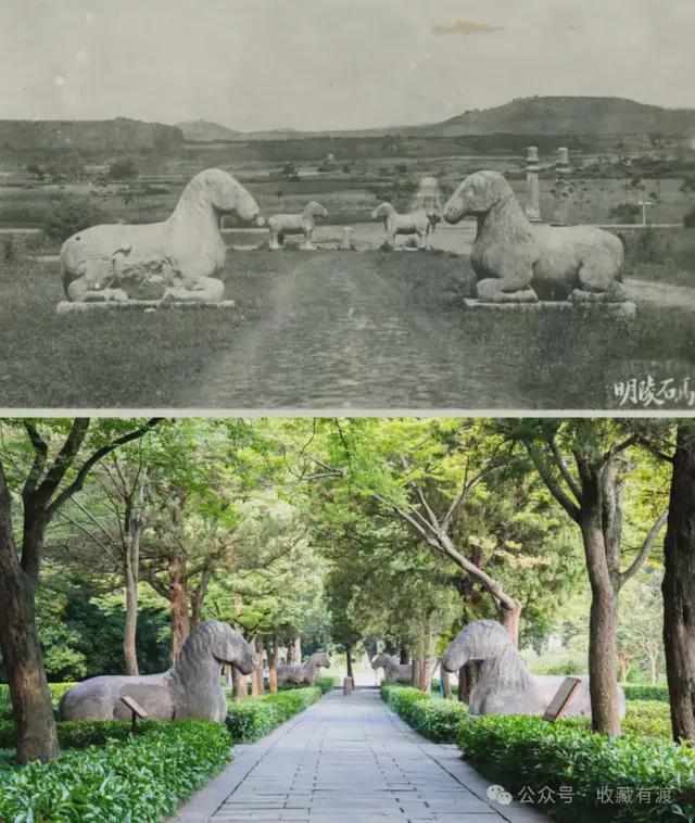  穿越时空的能源博弈：为什么老祖宗把"柴"列为生存之首 新闻 穿越时空的能源博弈：为什么老祖宗把"柴"列为生存之首 新闻