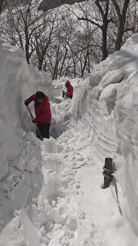  北疆积雪没过人身·南疆高温破历史极值：四月中国天气撕裂全景技术解码 新闻 北疆积雪没过人身·南疆高温破历史极值：四月中国天气撕裂全景技术解码 新闻