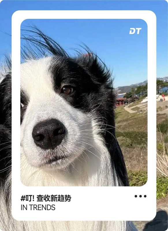 那个在候诊区哭泣的姑娘，和植发机构门口排队的长发女孩们 情感心理
