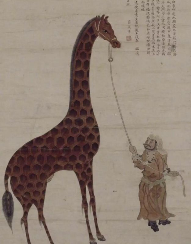  一头长颈鹿的奇幻漂流：600年前，一场改变皇权命运的神秘旅程 新闻