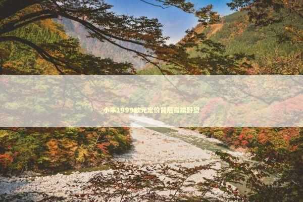 小米1999欧元定价背后高端野望