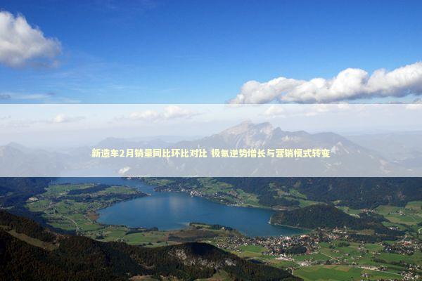 新造车2月销量同比环比对比 极氪逆势增长与营销模式转变 新闻