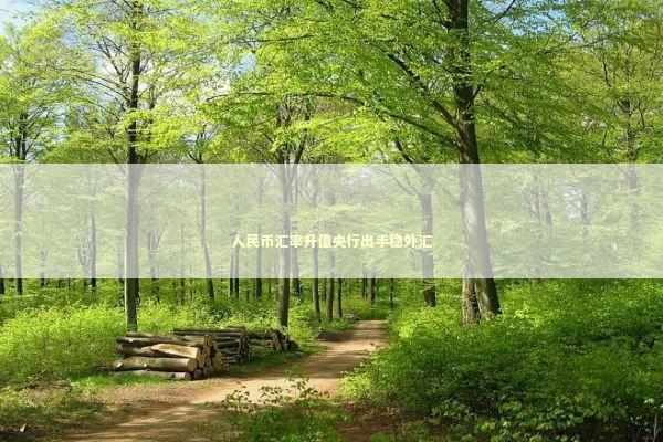 人民币汇率升值央行出手稳外汇