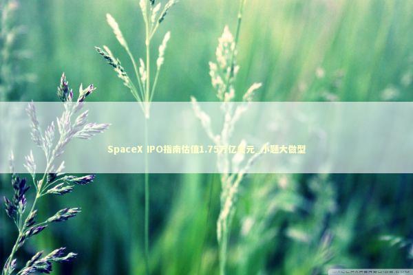 SpaceX IPO指南估值1.75万亿美元_小题大做型