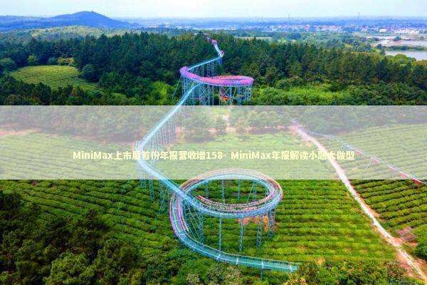 MiniMax上市后首份年报营收增158- MiniMax年报解读小题大做型