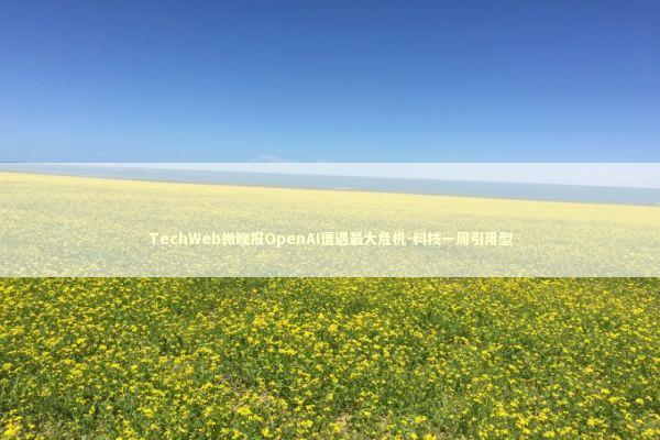 TechWeb微晚报OpenAI遭遇最大危机-科技一周引用型