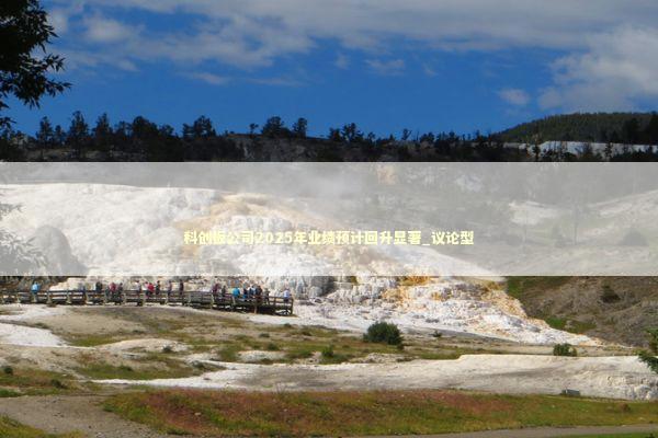 科创板公司2025年业绩预计回升显著_议论型