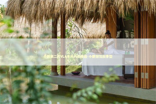 小鹏第二代VLA本月开启推送-小鹏智驾叙事型