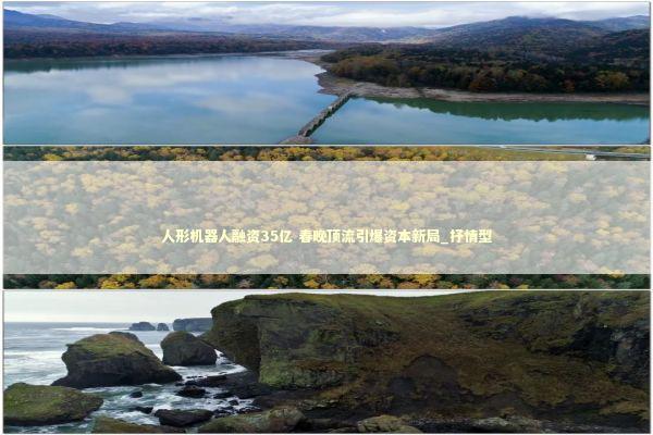 人形机器人融资35亿 春晚顶流引爆资本新局_抒情型