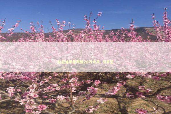 比亚迪销量跌破20万大关_引用型