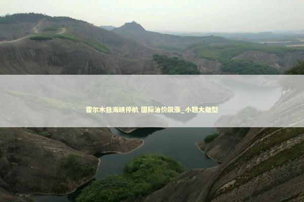 霍尔木兹海峡停航 国际油价飙涨_小题大做型