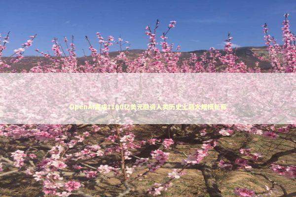 OpenAI完成1100亿美元融资人类历史上最大规模私募