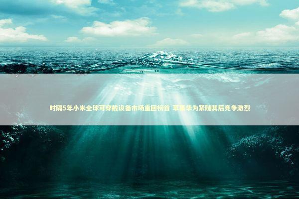 时隔5年小米全球可穿戴设备市场重回榜首 苹果华为紧随其后竞争激烈