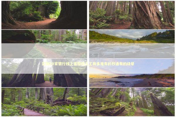 实测10家银行线上客服找人工有多难有的秒通有的绕晕