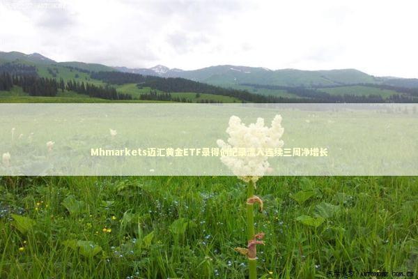 Mhmarkets迈汇黄金ETF录得创纪录流入连续三周净增长