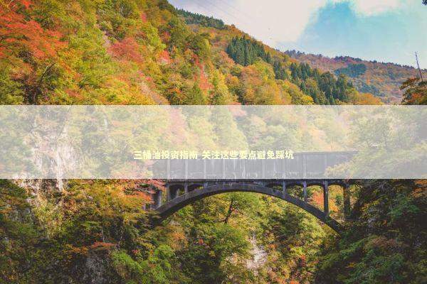 三桶油投资指南 关注这些要点避免踩坑