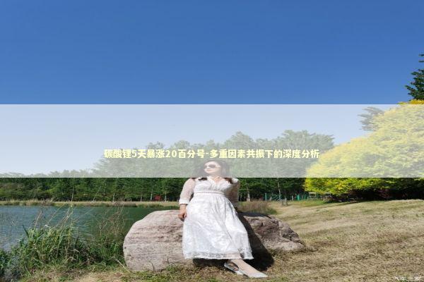 碳酸锂5天暴涨20百分号-多重因素共振下的深度分析