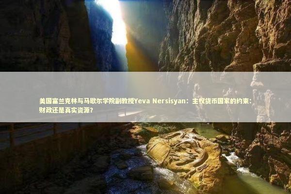 美国富兰克林与马歇尔学院副教授Yeva Nersisyan：主权货币国家的约束：财政还是真实资源？