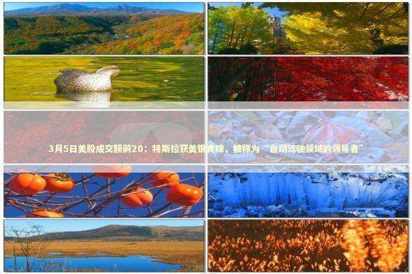 3月5日美股成交额前20：特斯拉获美银青睐，被称为“自动驾驶领域的领导者”