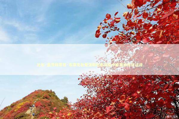 比尔·盖茨和莱昂·布莱克在爱泼斯坦案调查中被要求提供证词