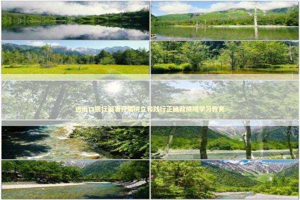 进出口银行部署开展树立和践行正确政绩观学习教育