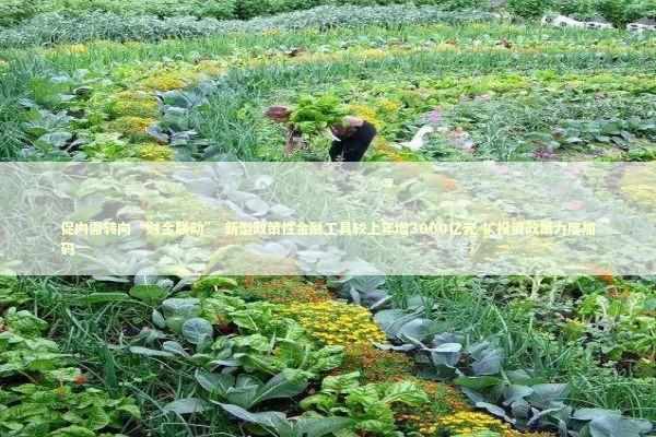 促内需转向“财金联动” 新型政策性金融工具较上年增3000亿元 扩投资政策力度加码