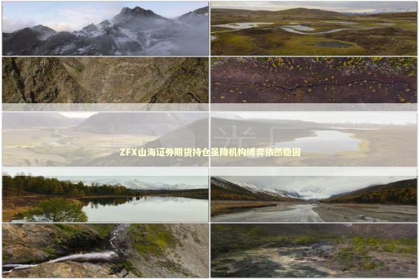 ZFX山海证券期货持仓虽降机构博弈依然稳固