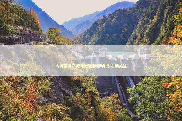 内需空间广阔消费动能强劲引发市场关注