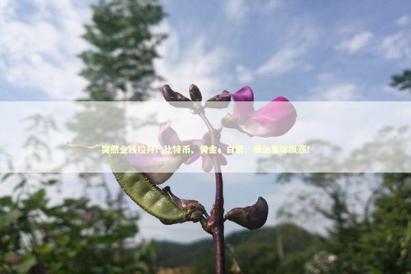 突然全线拉升！比特币、黄金、白银、原油集体飙涨！