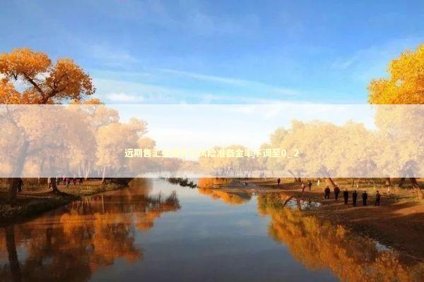 远期售汇业务外汇风险准备金率下调至0_2