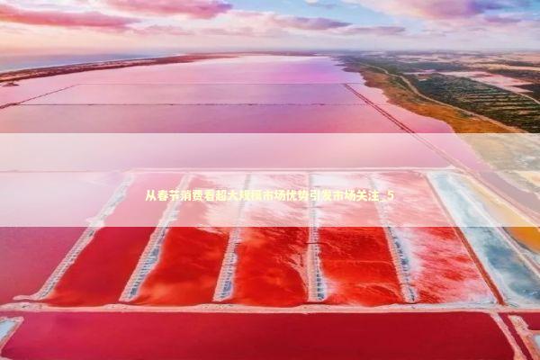 从春节消费看超大规模市场优势引发市场关注_5