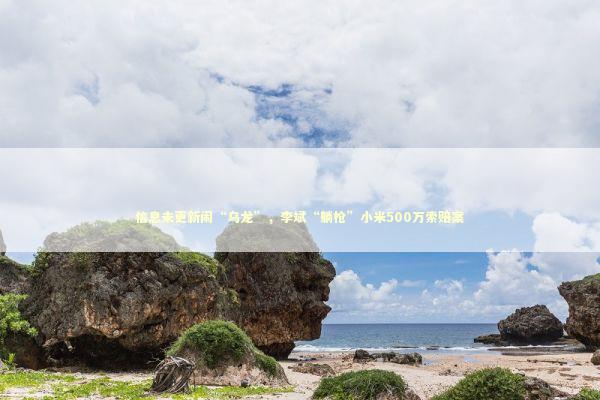 信息未更新闹“乌龙”，李斌“躺枪”小米500万索赔案