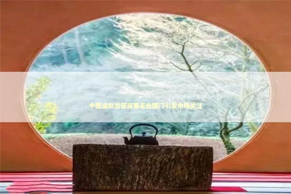 中国虚拟运营商要走出国门引发市场关注