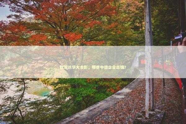 默茨访华大合影，哪些中德企业出镜？