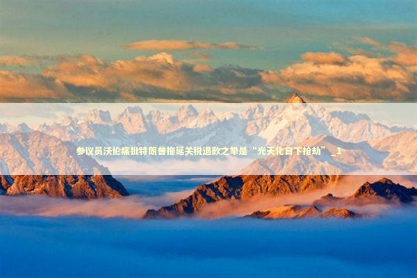 参议员沃伦痛批特朗普拖延关税退款之举是“光天化日下抢劫”_1